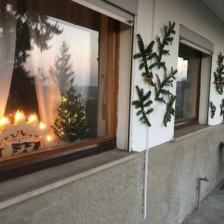 Mainzimmer Business Appartment - Monteurwohnung Mit Burgblick Вертхайм Екстериор снимка