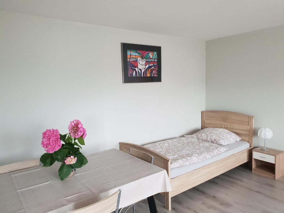 Mainzimmer Business Appartment - Monteurwohnung Mit Burgblick Вертхайм Екстериор снимка