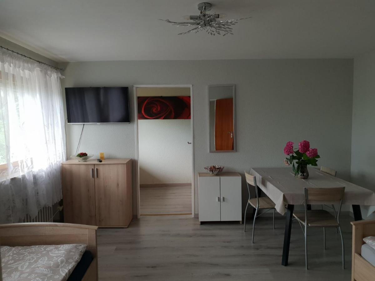 Mainzimmer Business Appartment - Monteurwohnung Mit Burgblick Вертхайм Екстериор снимка