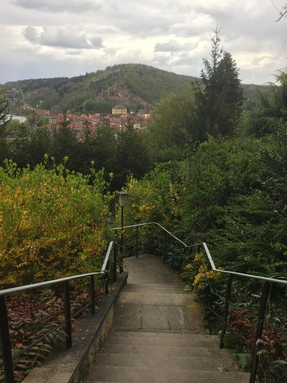 Mainzimmer Business Appartment - Monteurwohnung Mit Burgblick Вертхайм Екстериор снимка