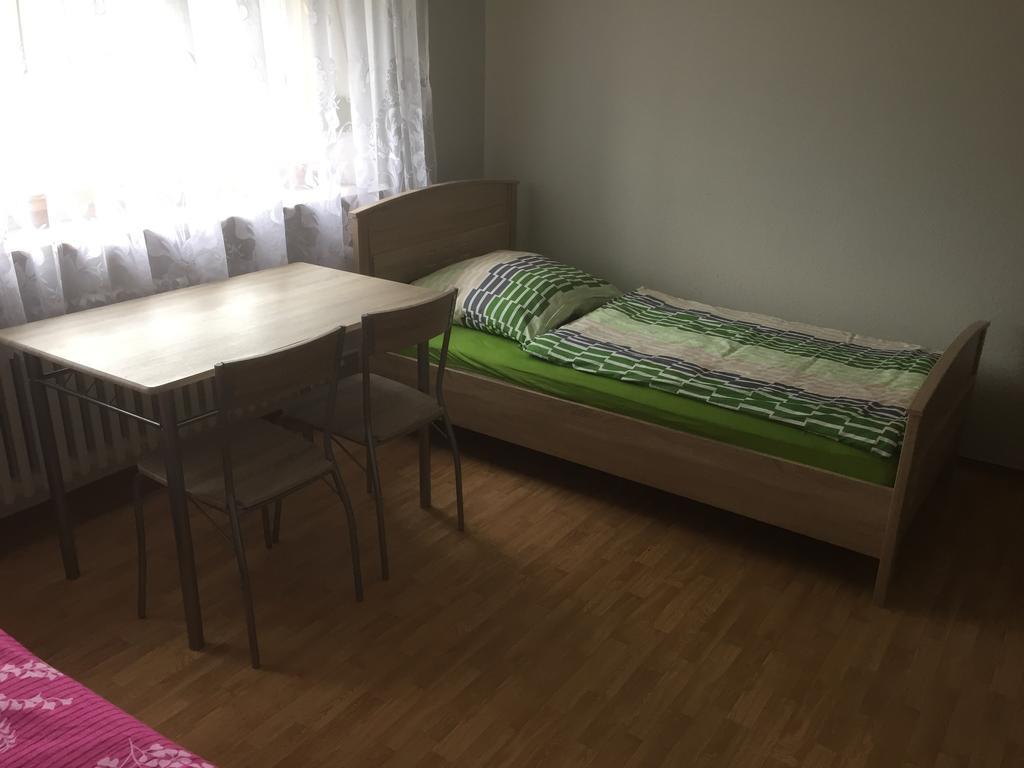 Mainzimmer Business Appartment - Monteurwohnung Mit Burgblick Вертхайм Екстериор снимка