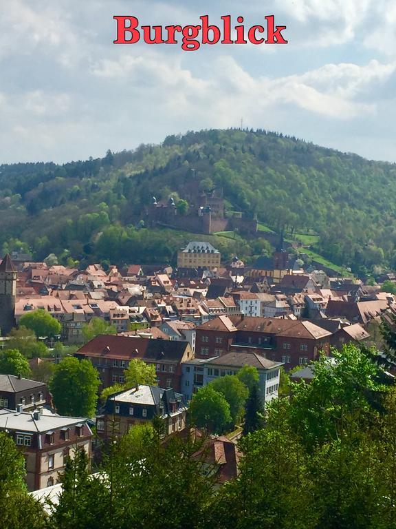 Mainzimmer Business Appartment - Monteurwohnung Mit Burgblick Вертхайм Екстериор снимка