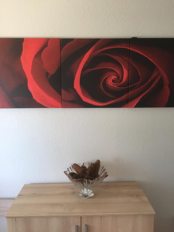 Mainzimmer Business Appartment - Monteurwohnung Mit Burgblick Вертхайм Екстериор снимка